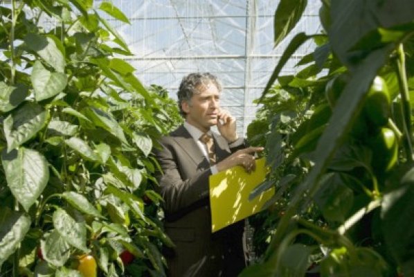 Fondurile nerambursabile au influenţat apetitul agricultorilor